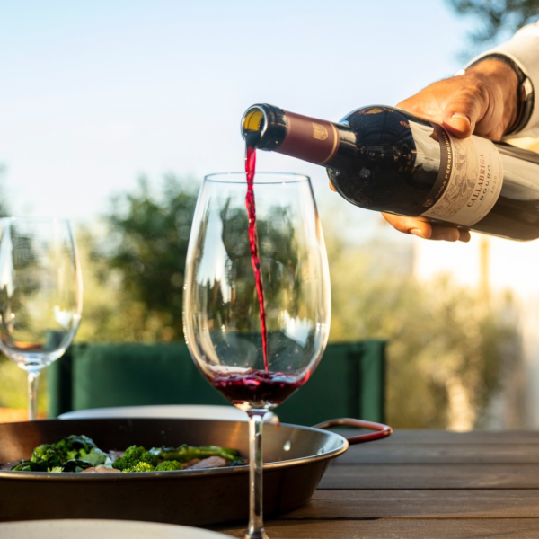 Quinta do Seixo Harvest